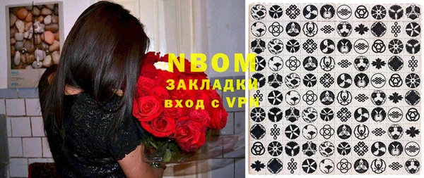 прущие грибы Балахна