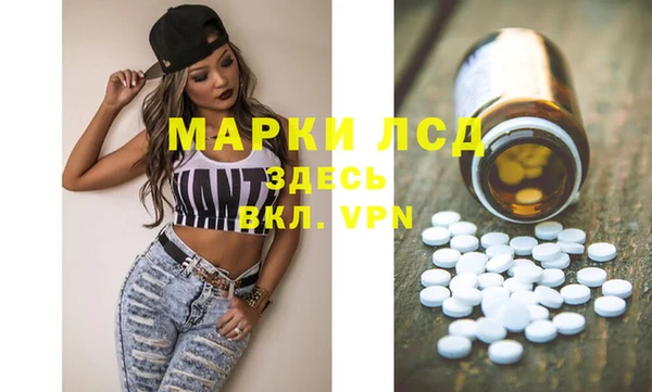 прущие грибы Балахна