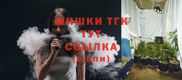 прущие грибы Балахна