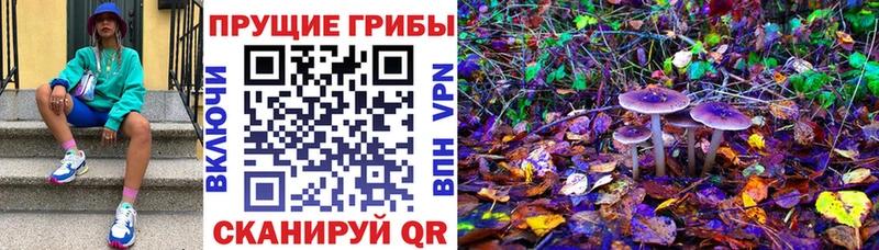 hydra ссылка  даркнет как зайти  Выборг  Псилоцибиновые грибы прущие грибы  даркнет сайт 